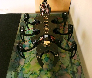 hexapod robot 1